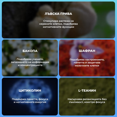 MEMORYPRO