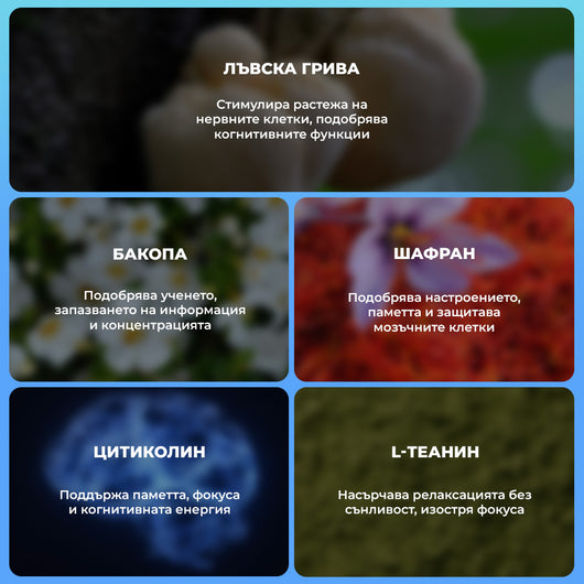 MEMORYPRO